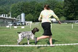 AKC Conformation